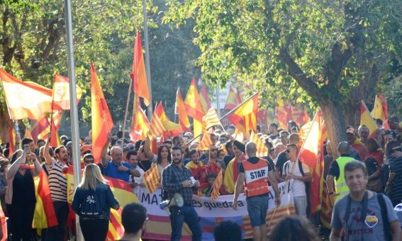Manifestació per a la unitat d'Espanya. Foto Joan G.Jané
