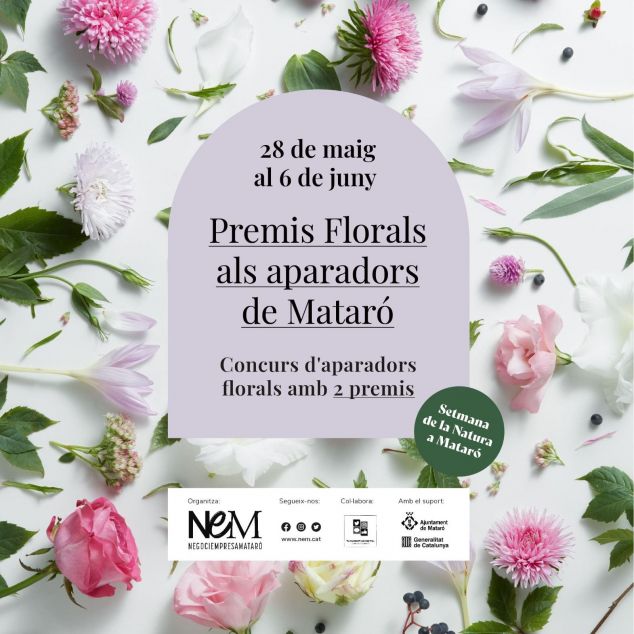 NEM organitza el concurs d'aparadors florals