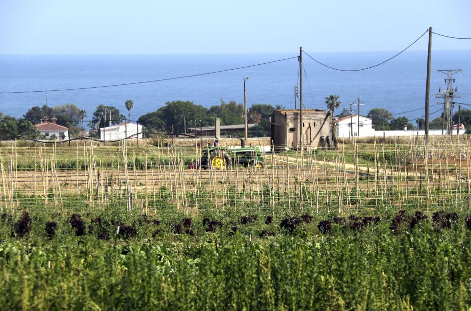 Vista de les Cinc Sénies, on els pagesos reclamen solucions. Foto: ACN