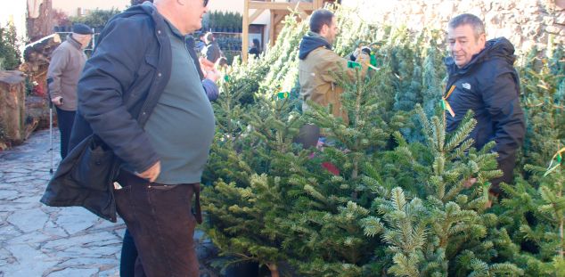 Molta gent hi compra l'arbre de Nadal